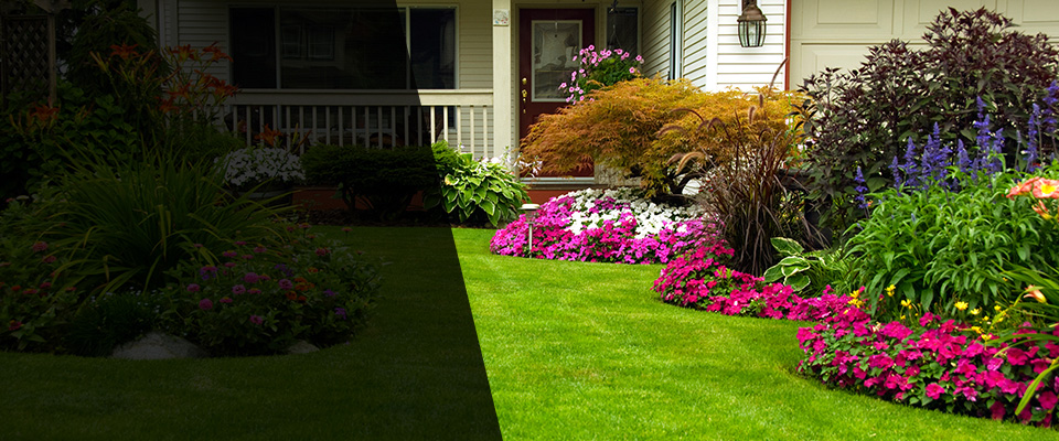 Saint Helena Landscapers